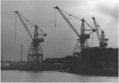 cranes.jpg (24098 bytes)